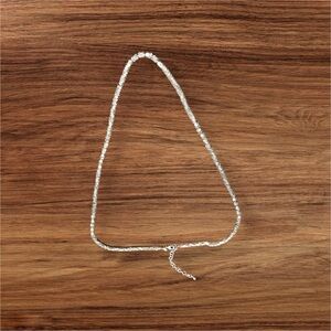 Chico's Women's Shimmery Silver Tone Long 43" Necklace